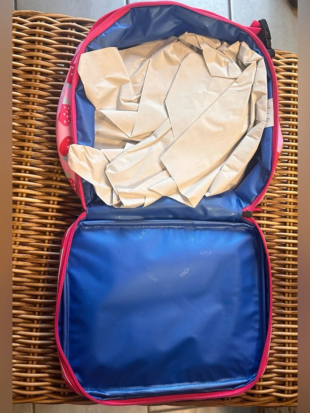 PackIt Freezable, Reusable Lunch Box built in ice packs